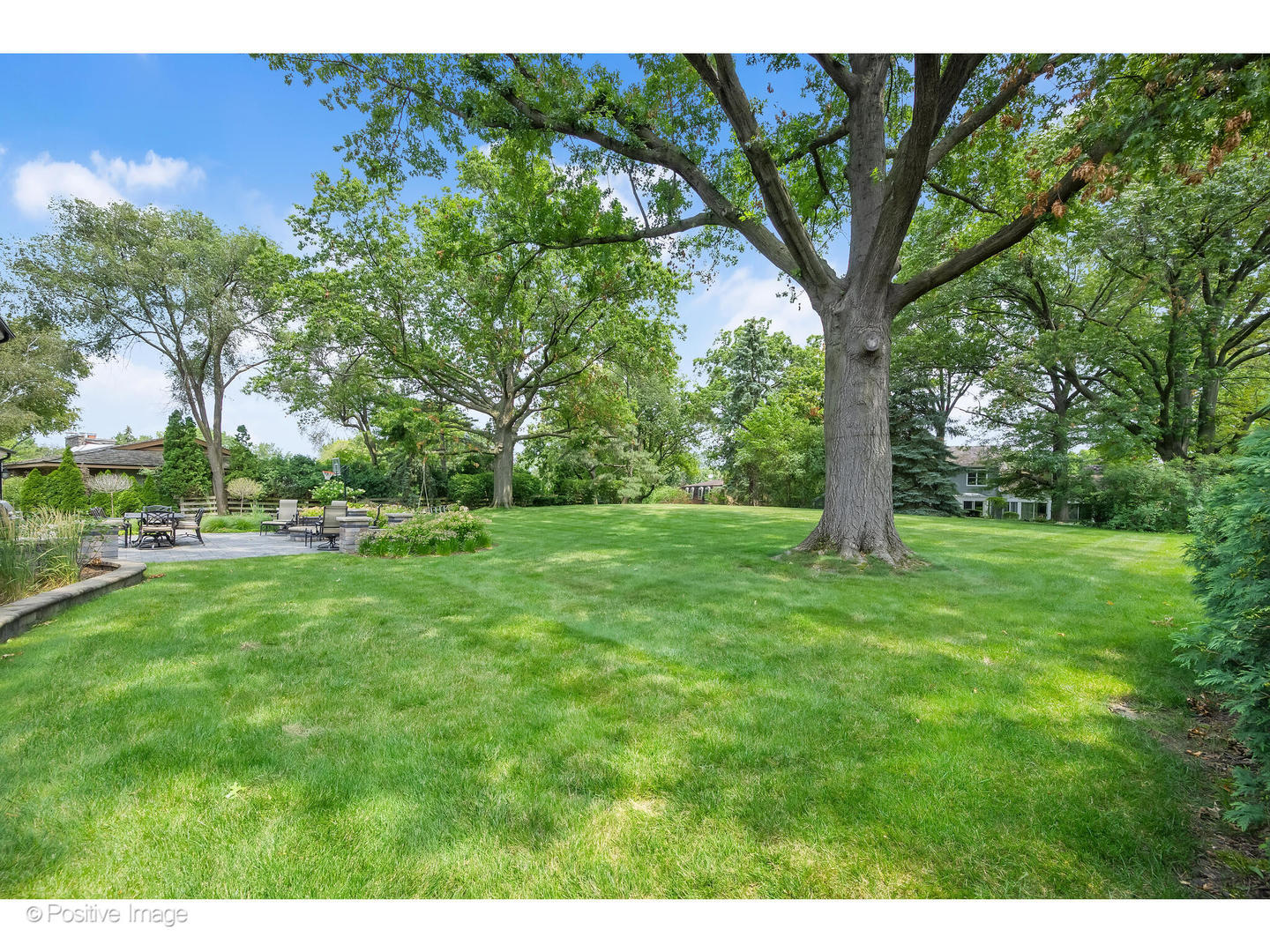 48 Devonshire Drive Oak Brook, IL 60523 - Photo 50 of 59 a view of green field with trees in the background