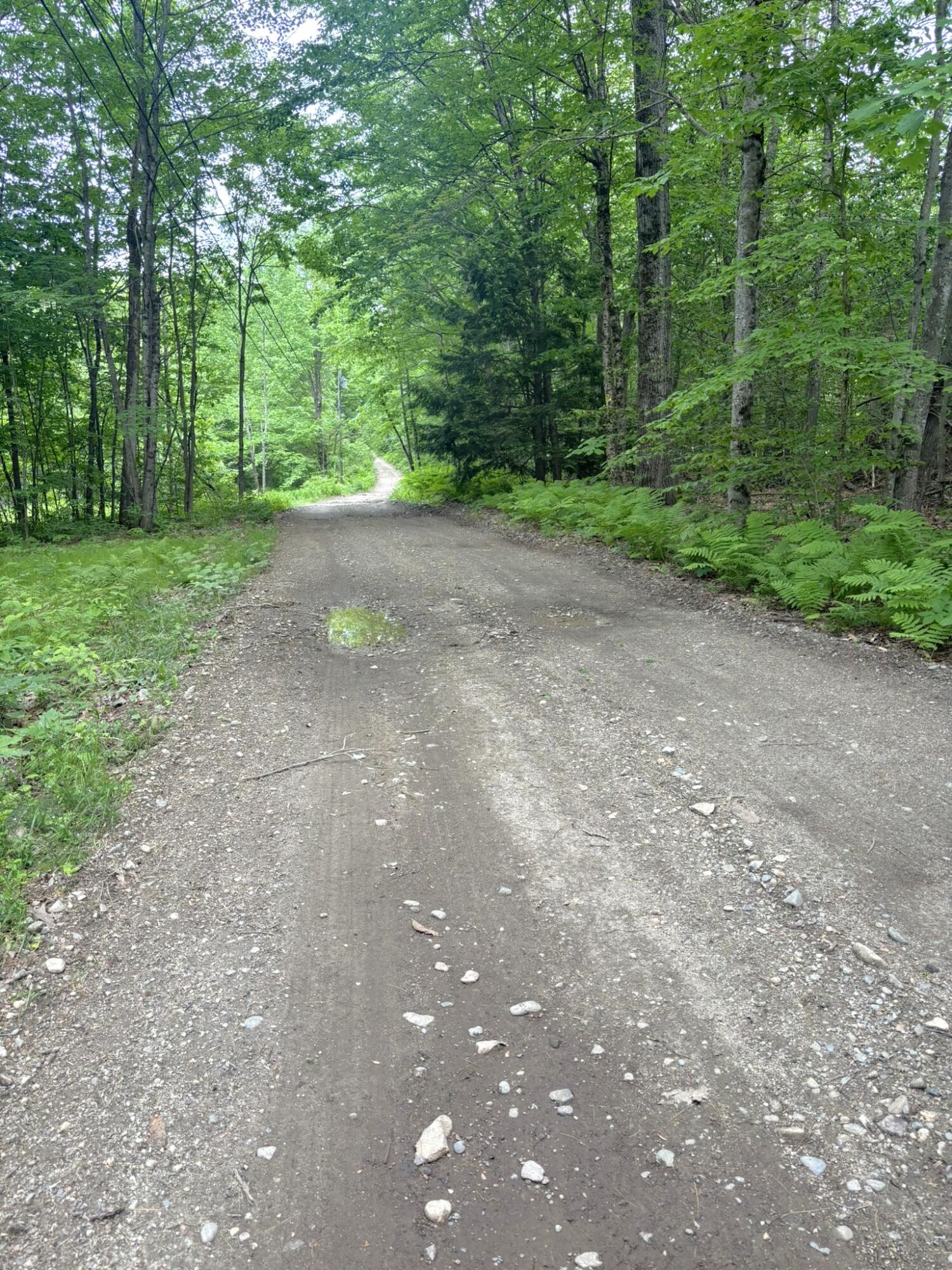 1110 Post Road Bowdoinham, ME 04008 - Photo 40 of 45 40. Driveway