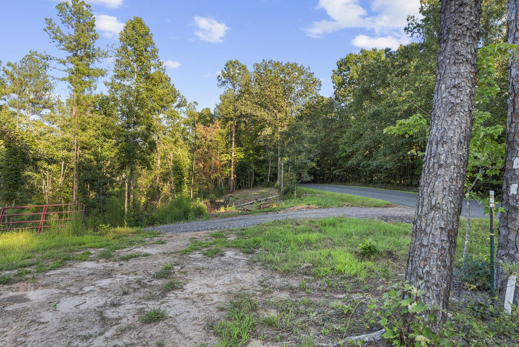 0 Gully Tavern Road Rice, VA 23966 - Photo 10 of 25 Gallery Image 10