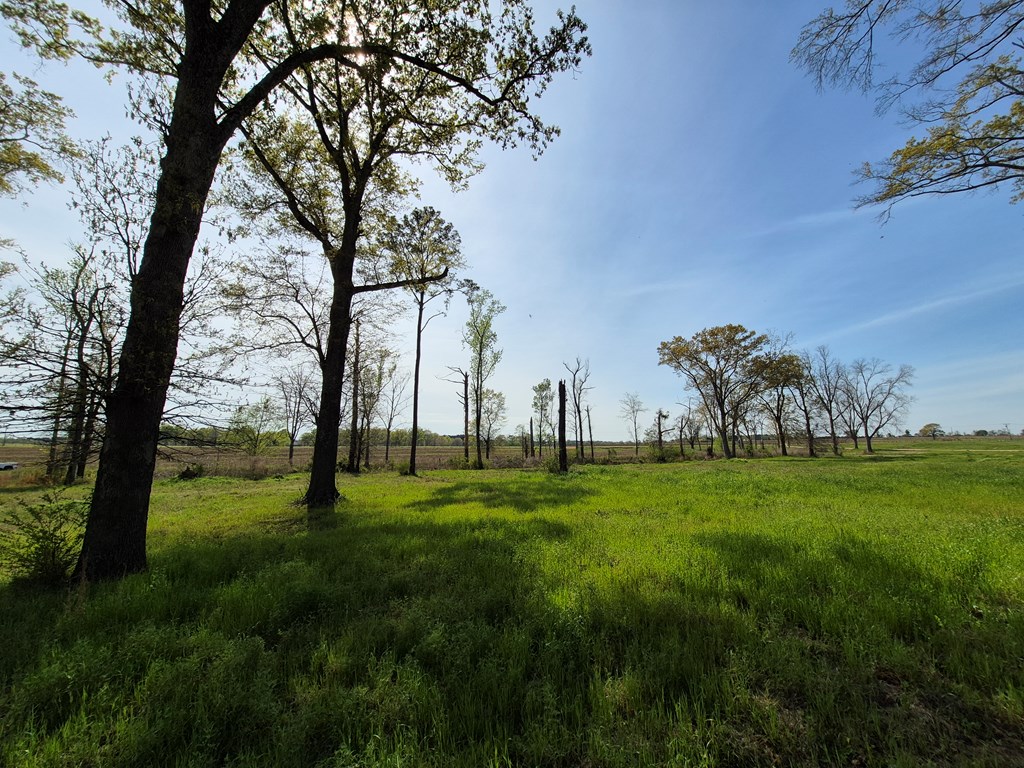 2154 J East Saunders Road Dothan, AL 36301 - Photo 12 of 15