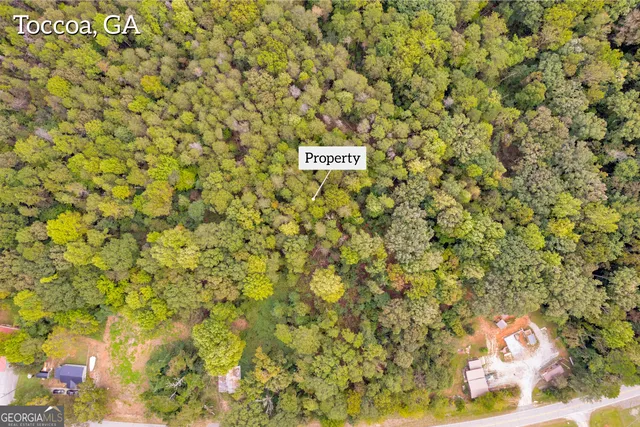 $45,000 | 0 Brookhaven Circle, Toccoa, GA 30577