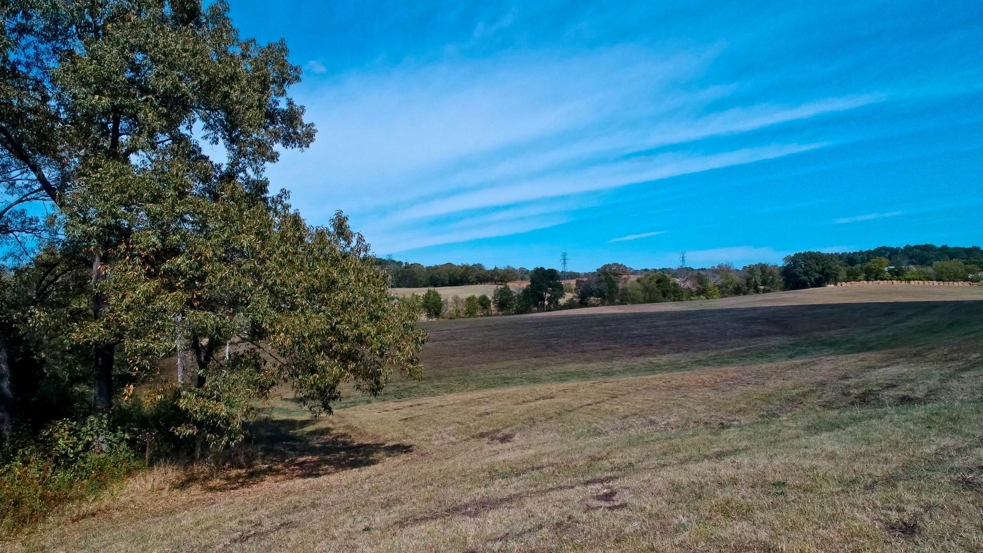 2 Timber Ridge Road Greeneville, TN 37743 - Photo 12 of 27 DJI_0039