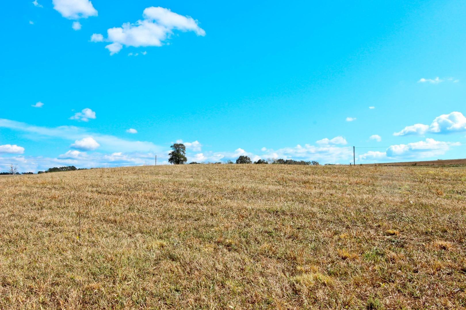 2 Timber Ridge Road Greeneville, TN 37743 - Photo 16 of 27 IMG_3454
