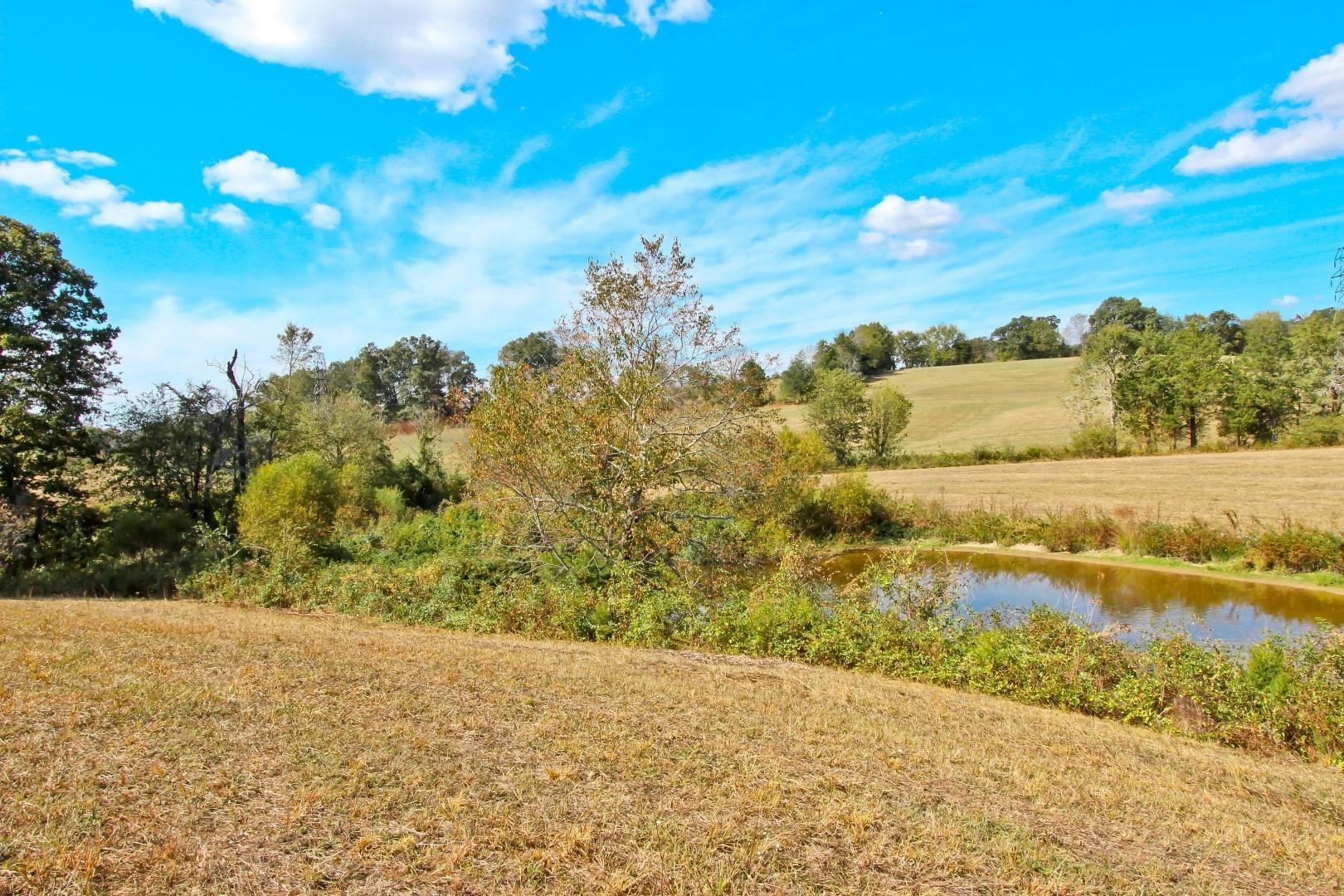 2 Timber Ridge Road Greeneville, TN 37743 - Photo 18 of 27 IMG_3456