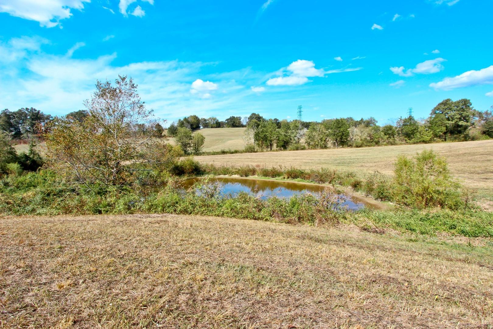 2 Timber Ridge Road Greeneville, TN 37743 - Photo 19 of 27 IMG_3458