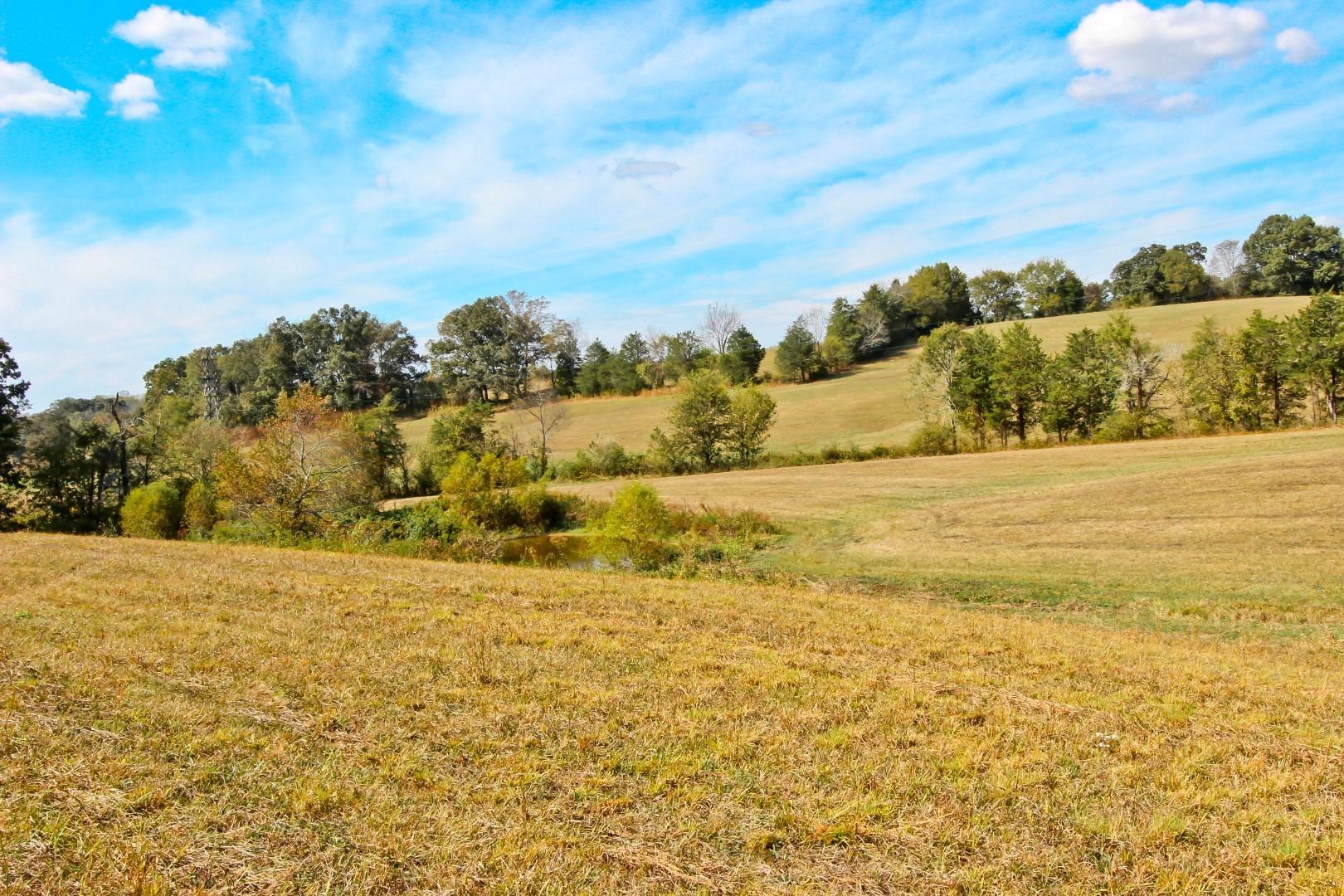 2 Timber Ridge Road Greeneville, TN 37743 - Photo 20 of 27 IMG_3459