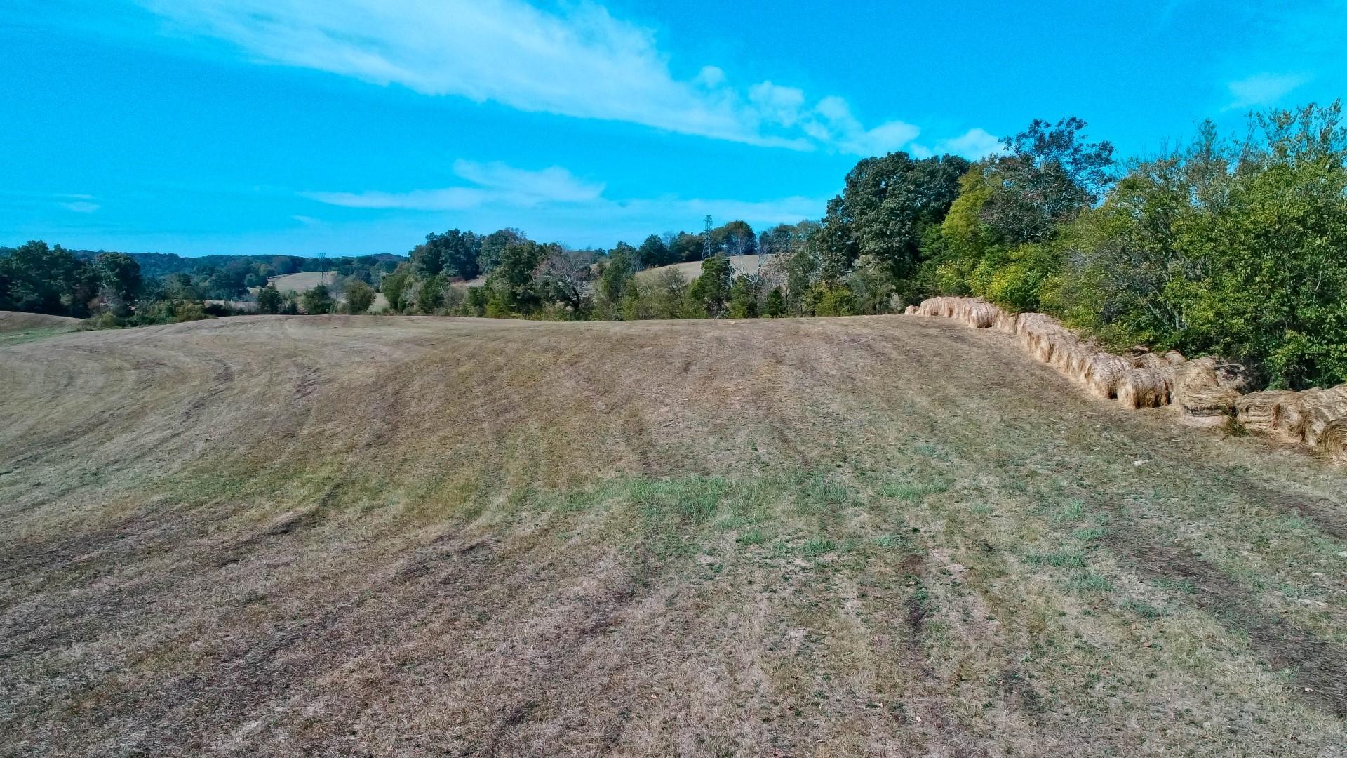 2 Timber Ridge Road Greeneville, TN 37743 - Photo 3 of 27 DJI_0030