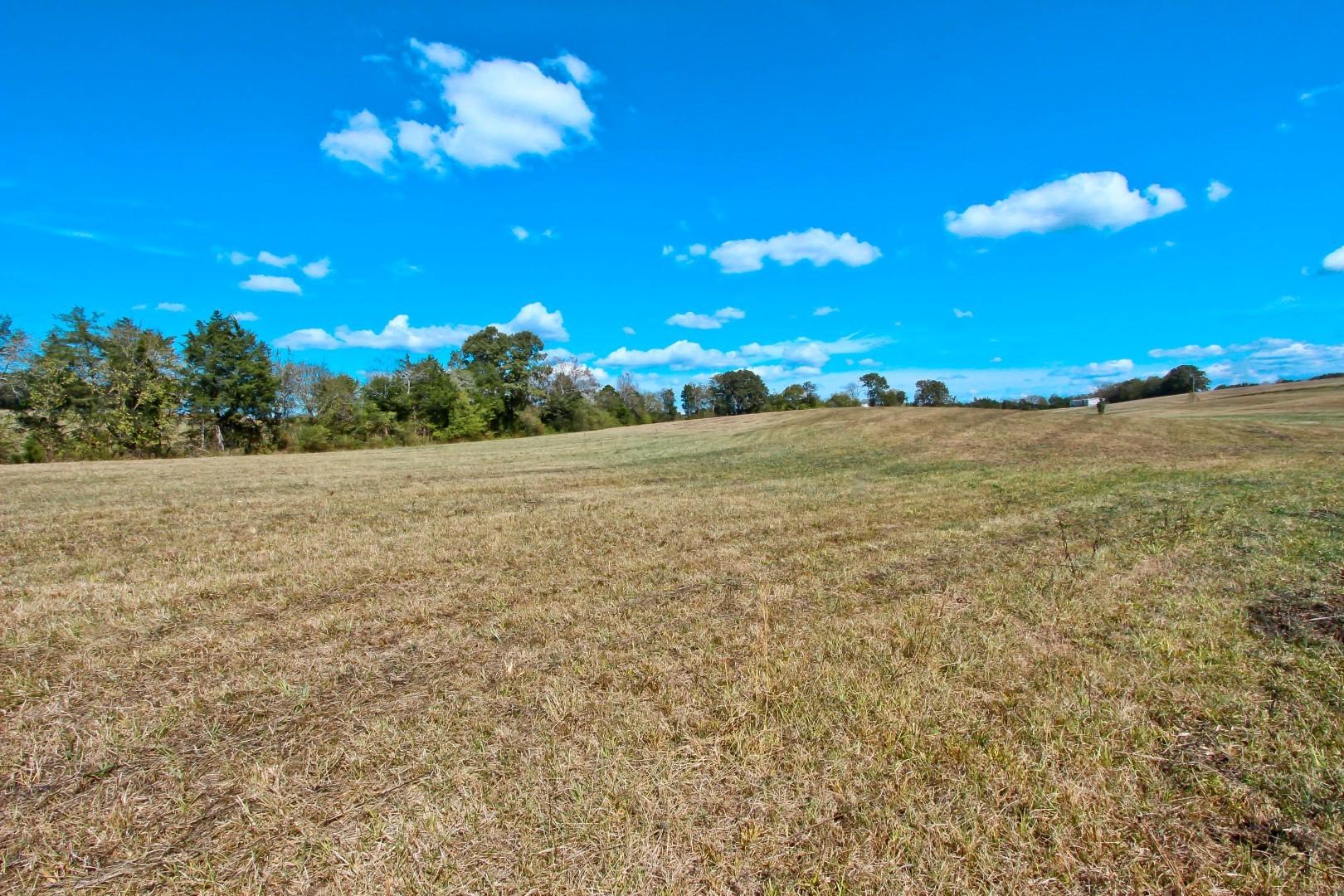2 Timber Ridge Road Greeneville, TN 37743 - Photo 22 of 27 IMG_3462