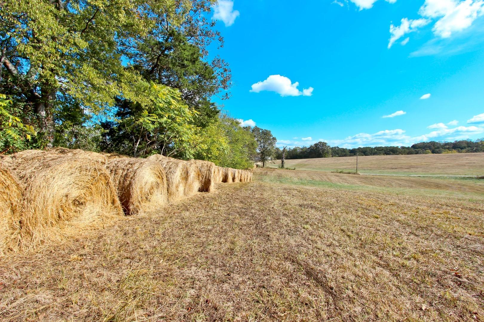 2 Timber Ridge Road Greeneville, TN 37743 - Photo 23 of 27 IMG_3464