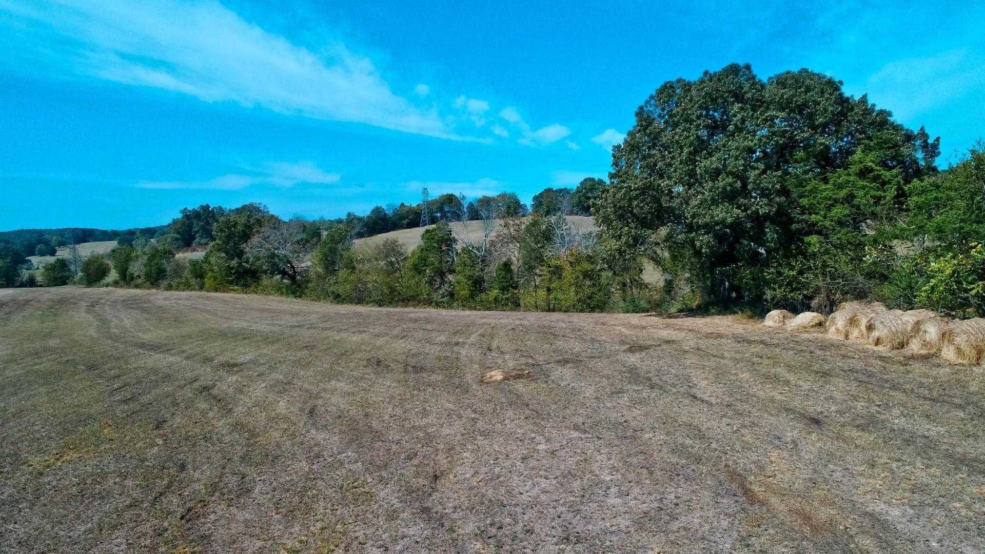 2 Timber Ridge Road Greeneville, TN 37743 - Photo 5 of 27 DJI_0032