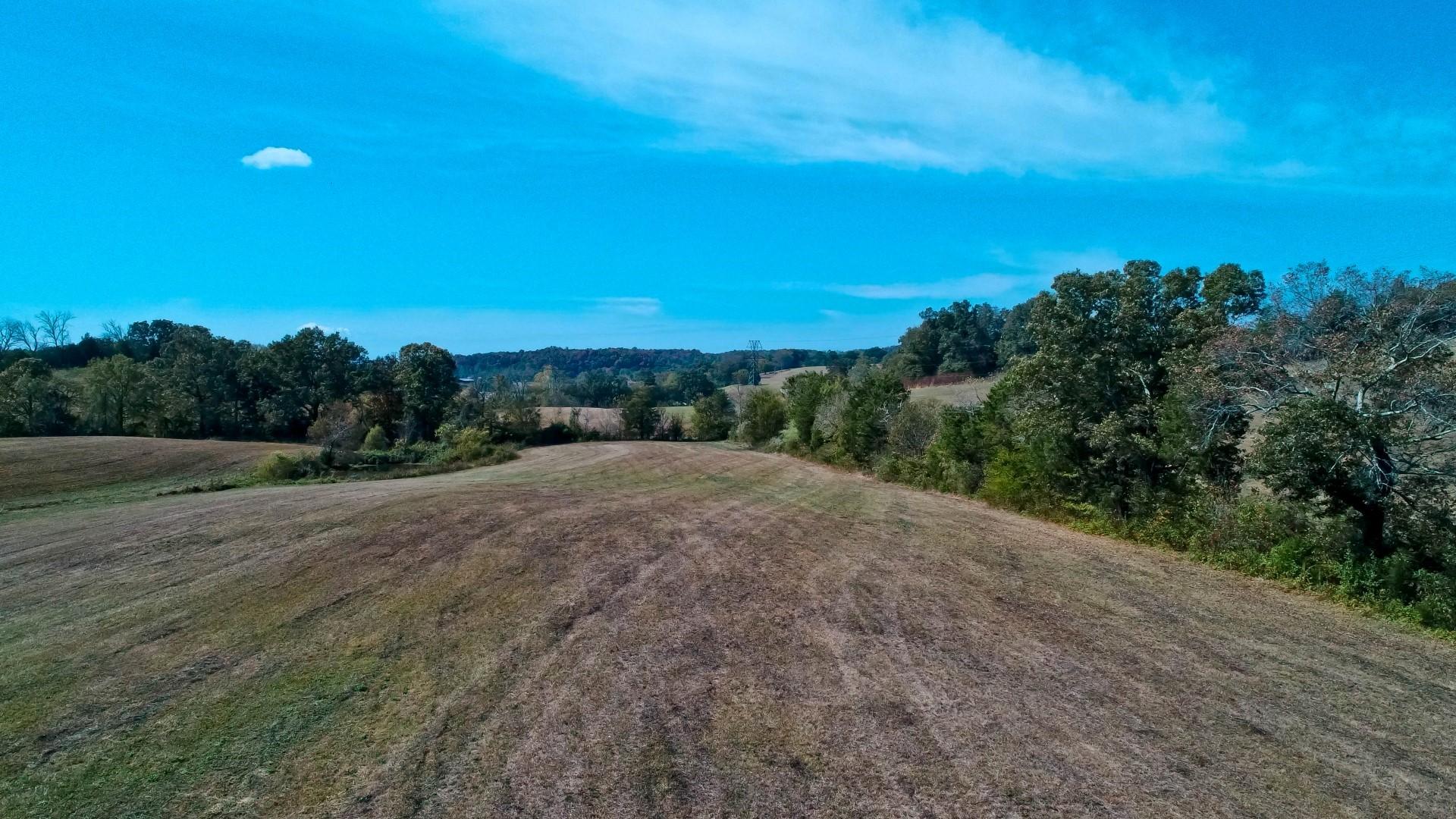 2 Timber Ridge Road Greeneville, TN 37743 - Photo 6 of 27 DJI_0033