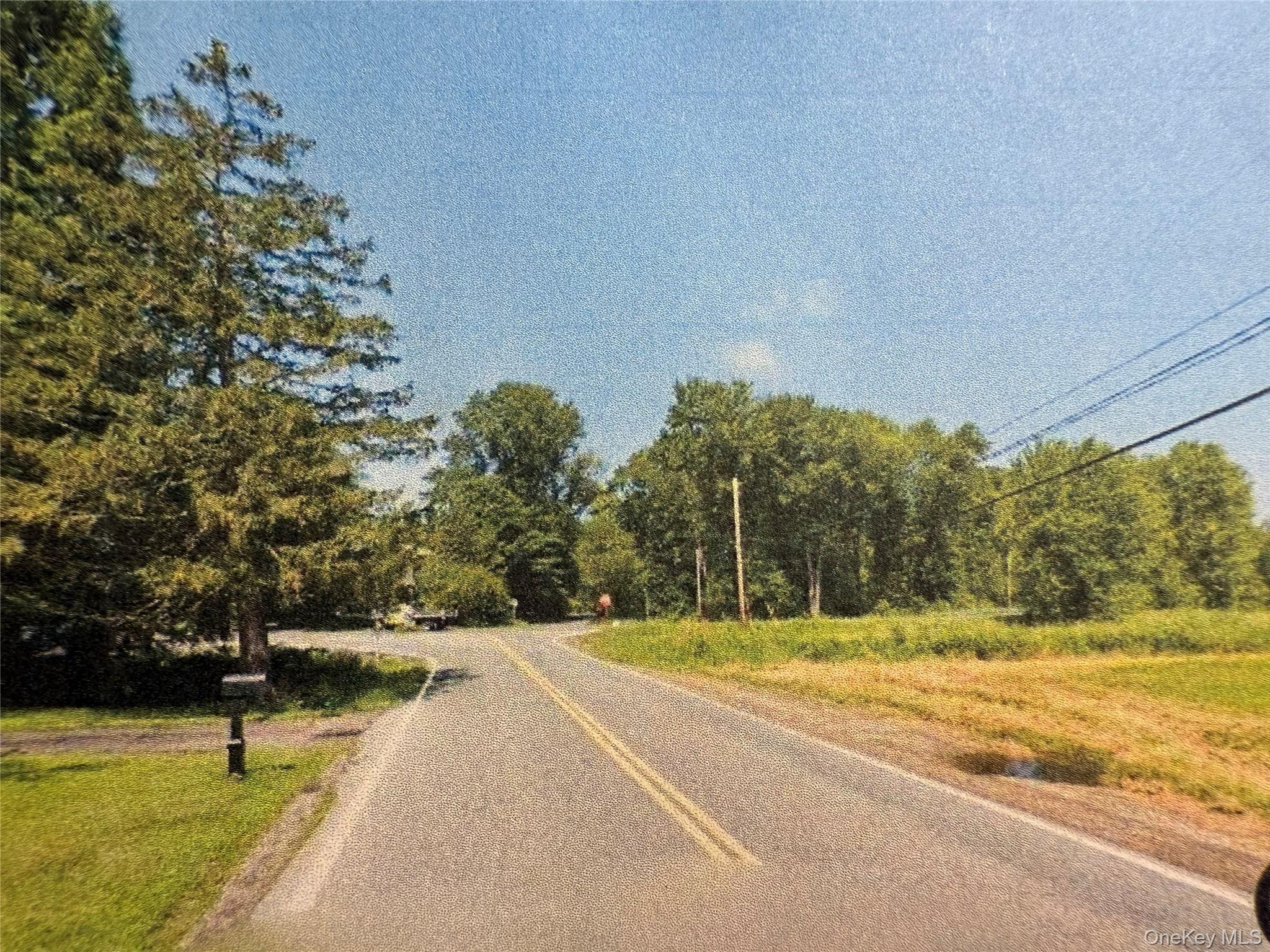 a view of swimming pool with large trees and plants