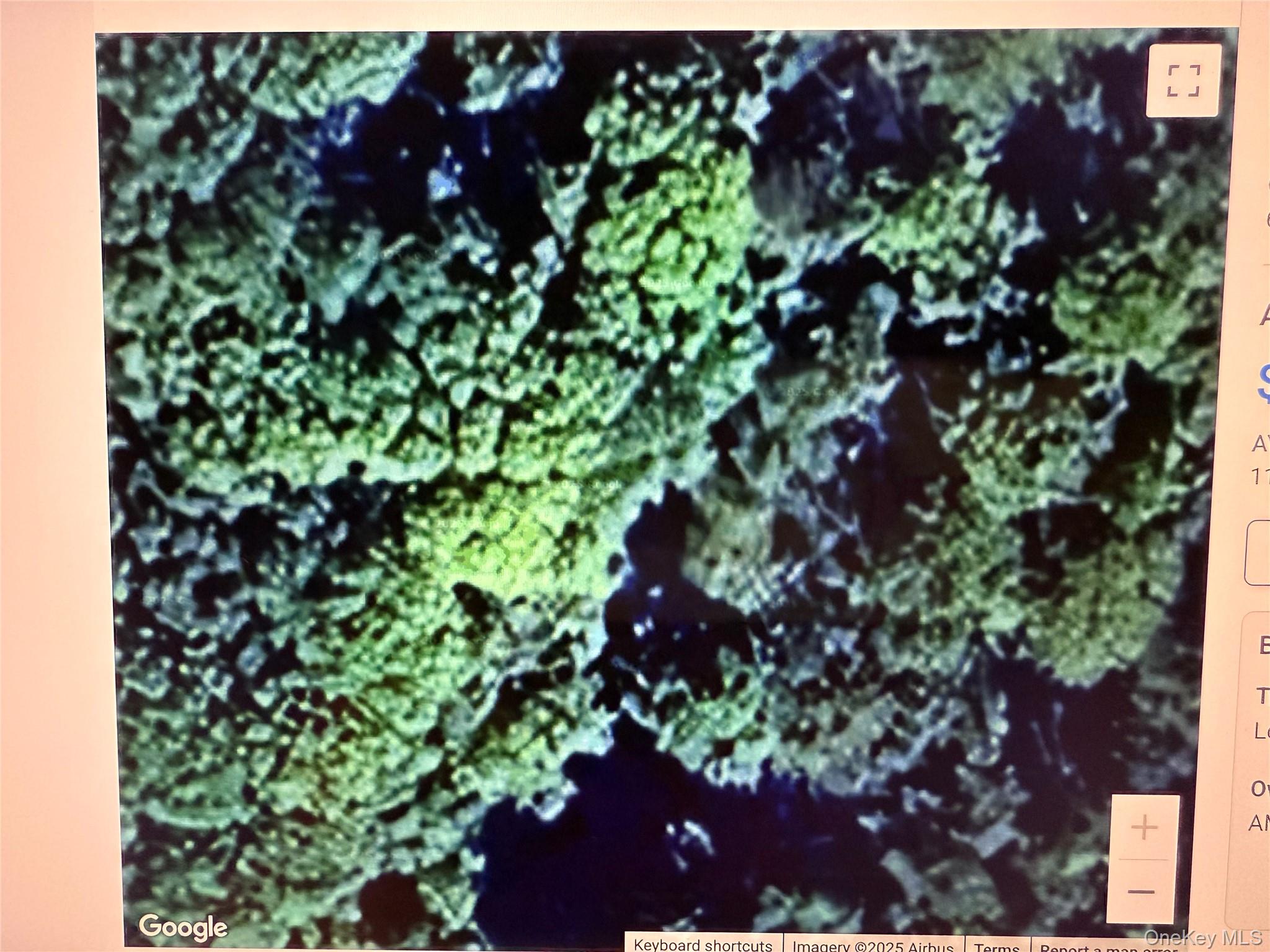 East Kerley Corners Road Tivoli, NY 12571 - Photo 3 of 3 a picture of flowers