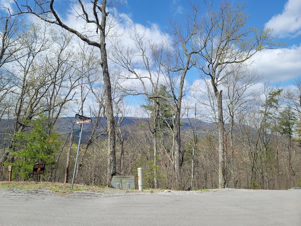 0 Coopers Hawk Way Sevierville, TN 37862 - Photo 8 of 11
