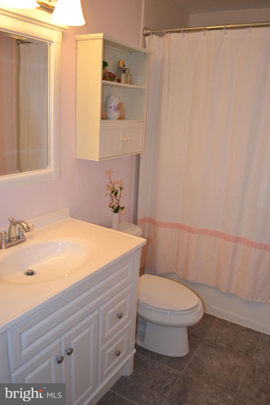 6729 Towne Lane Road McLean, VA 22101 - Photo 13 of 25 Hall Bath