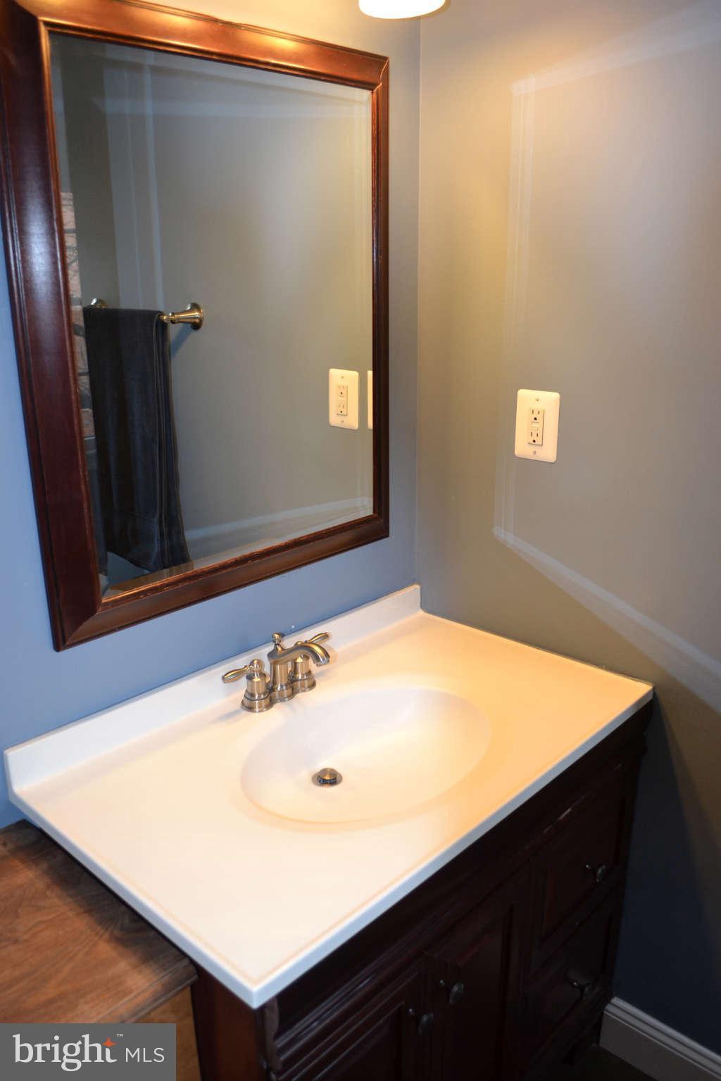6729 Towne Lane Road McLean, VA 22101 - Photo 16 of 25 Bath (Master)