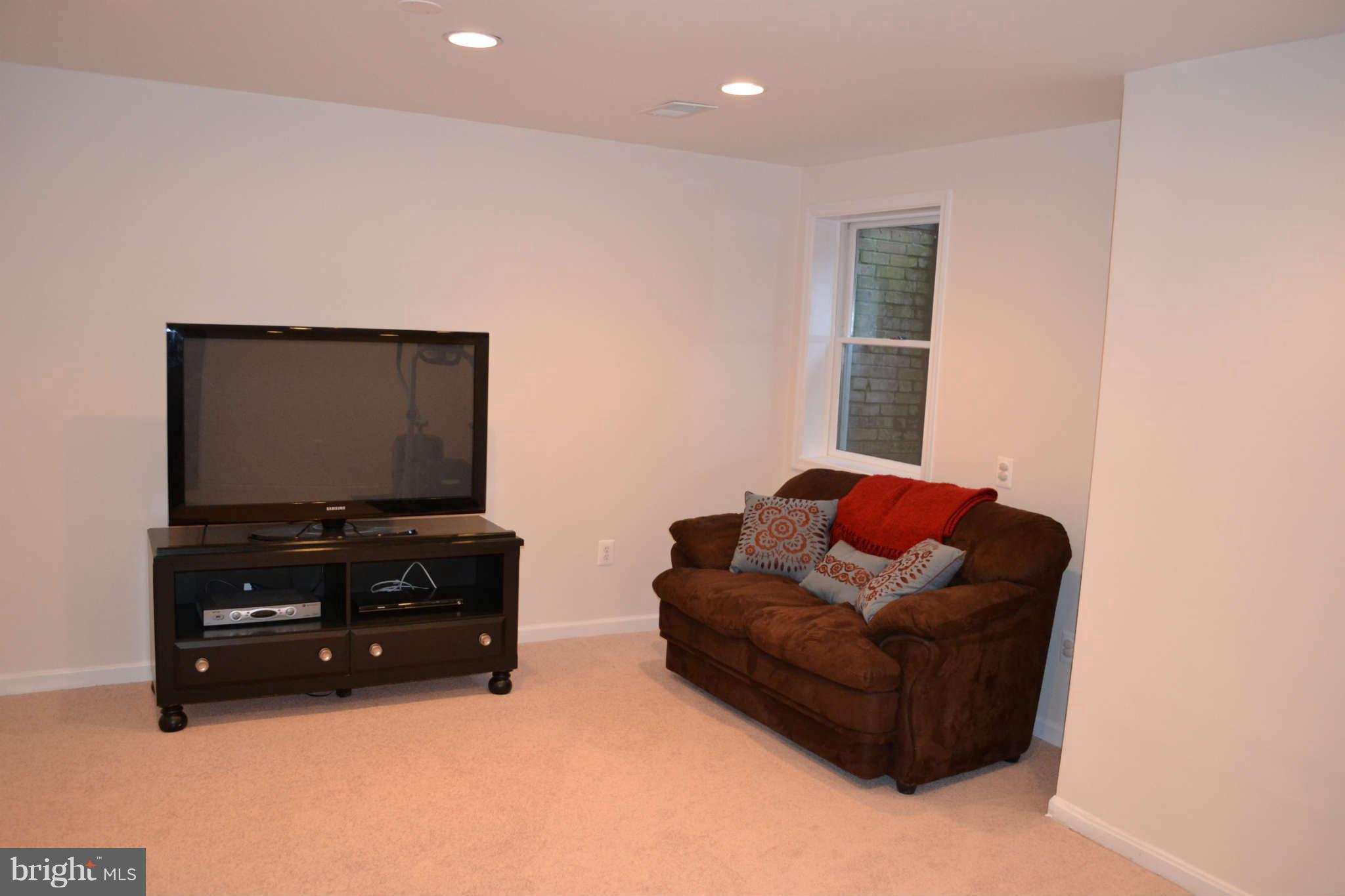 6729 Towne Lane Road McLean, VA 22101 - Photo 22 of 25 Basement