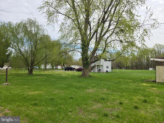a huge green field with lots of trees