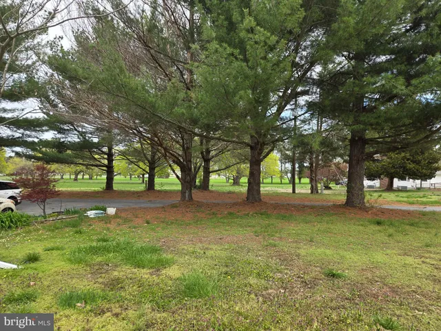 a view of yard with trees