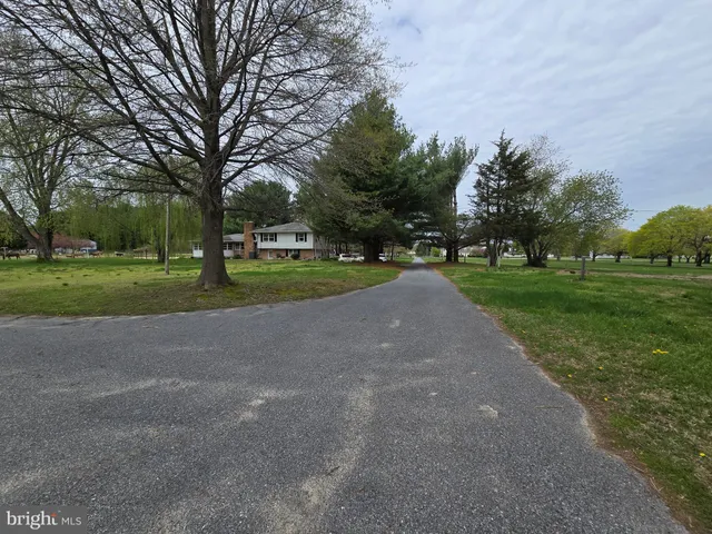 a view of a park with large trees
