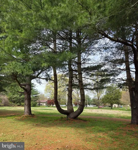 a view of an outdoor space