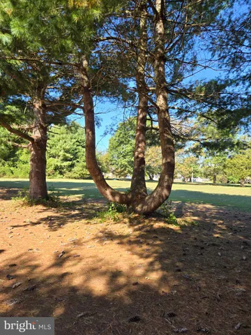 a view of a yard with an trees