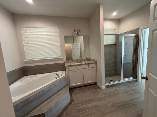 a bathroom with a tub shower and sink