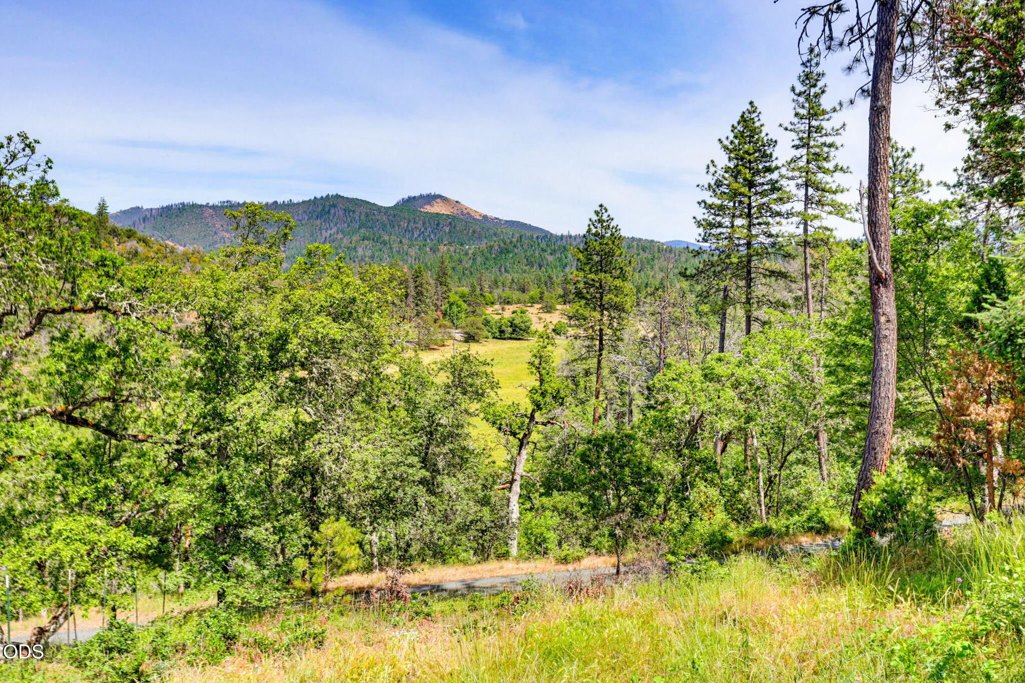 2644 Little Applegate Road Jacksonville, OR 97530 - Photo 8 of 31 ApxLA00020