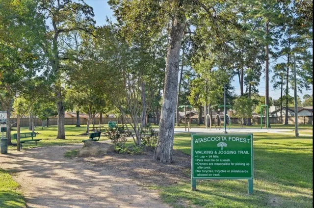 a view of a park with large trees