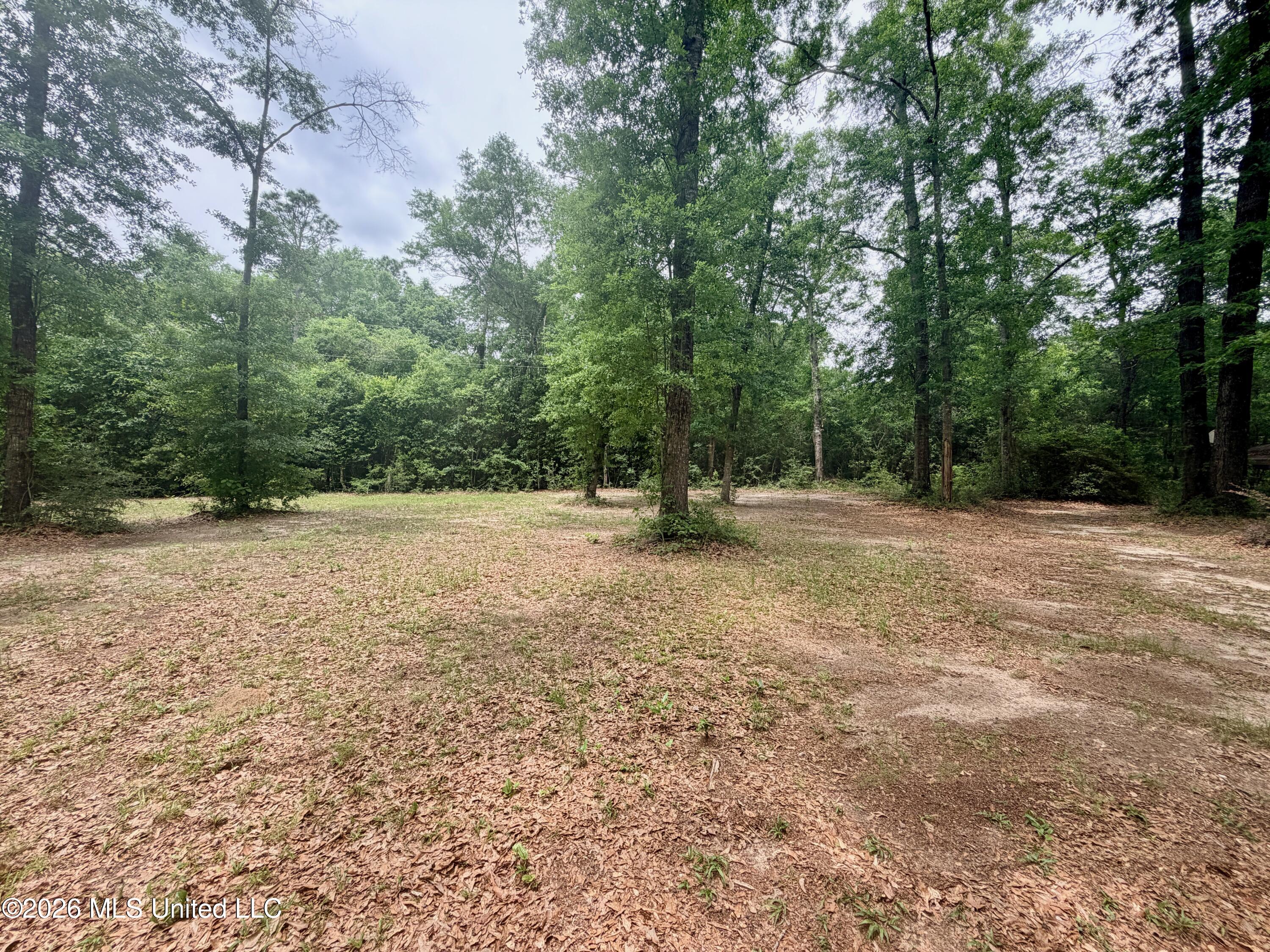 181 Geiger Road Lucedale, MS 39452 - Photo 4 of 32 IMG_9502