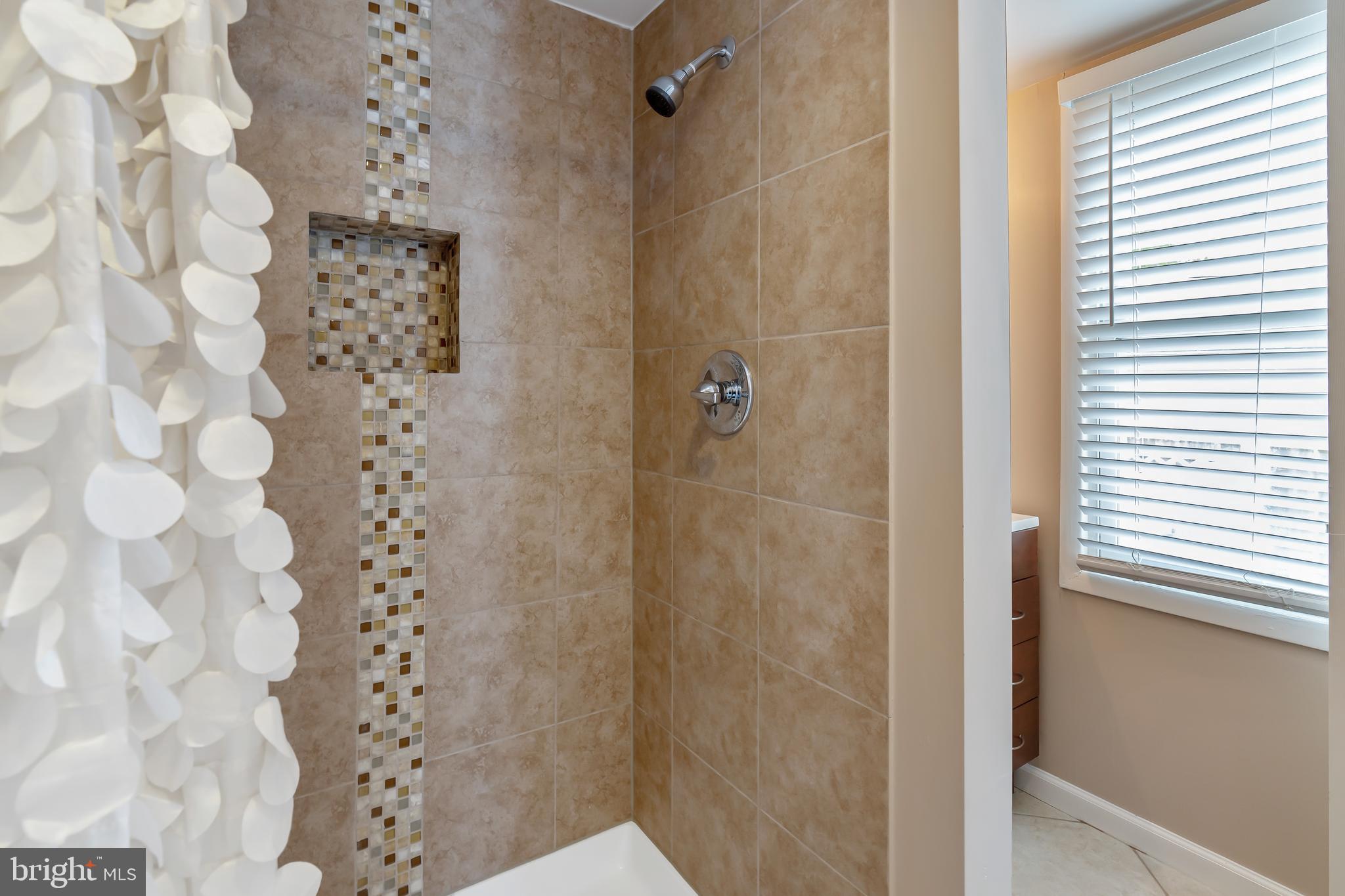 107 Alcock Road Baltimore, MD 21221 - Photo 18 of 29 Luxurious Shower