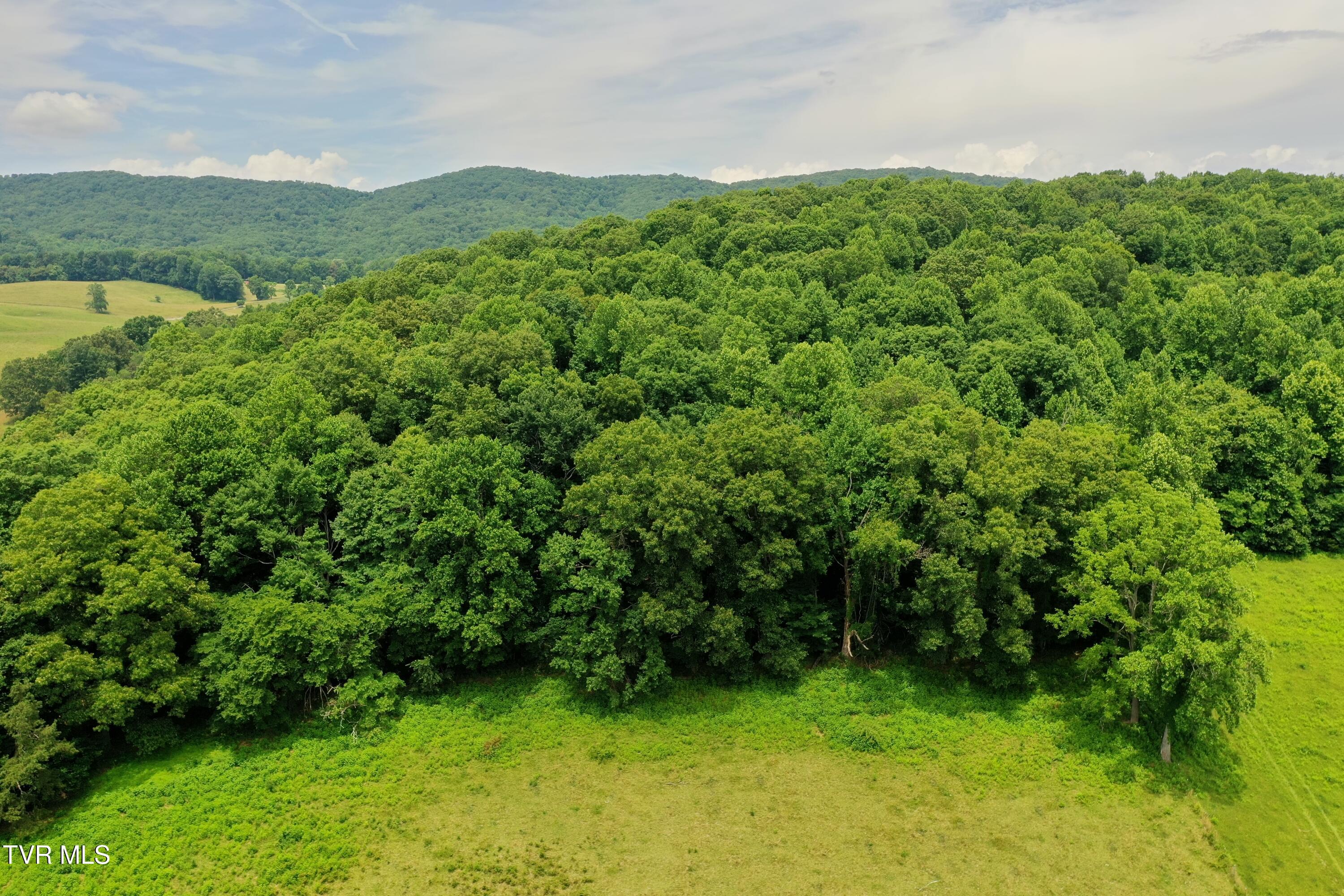 3956 Mulberry Gap Road Sneedville, TN 37869 - Photo 29 of 37 DJI_0922