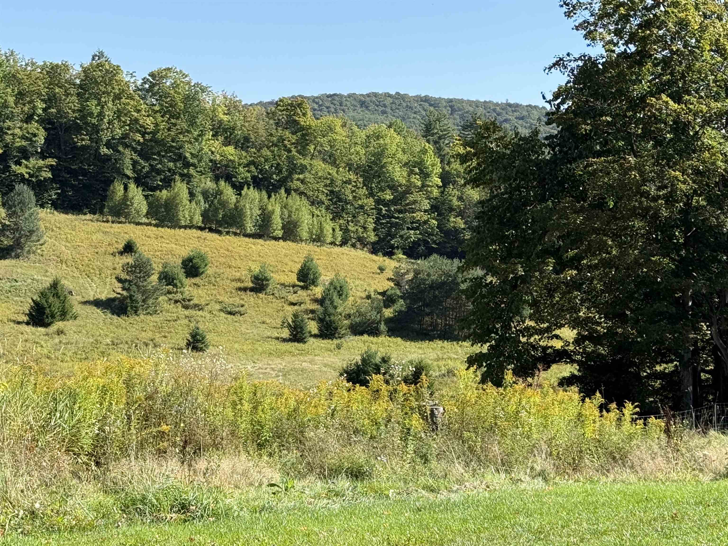 1720 MacIntosh Hill Road Bethel, VT 05060 - Photo 34 of 59 Gallery Image 34