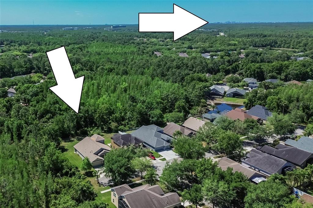 8215 Myrtle Point Way Tampa, FL 33647 - Photo 44 of 51