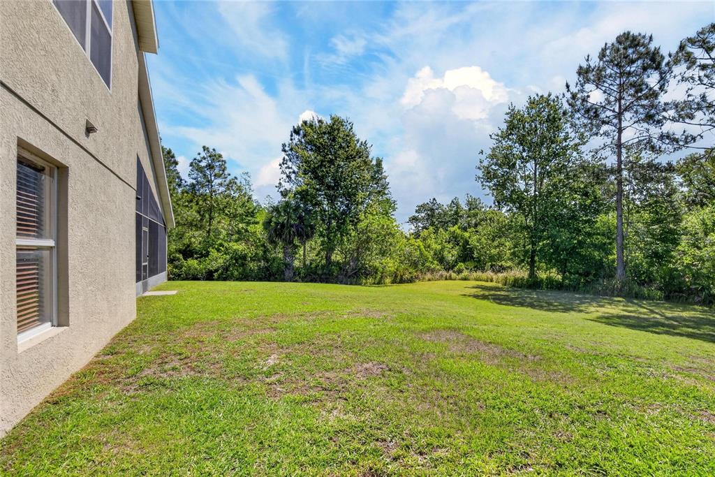 8215 Myrtle Point Way Tampa, FL 33647 - Photo 5 of 51