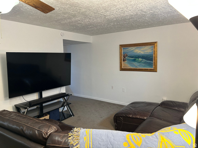 7659 State Street Midvale, UT 84047 - Photo 21 of 33 Living room with carpet flooring and a textured ceiling