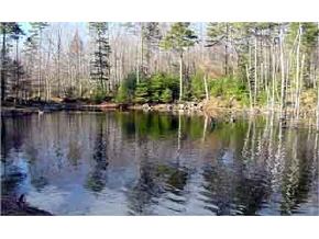 0 Under The Mtn Road Lyman, NH 03585 - Photo 3 of 4