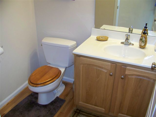 1650 White Church Road Fincastle, VA 24090 - Photo 11 of 20 bathroom
