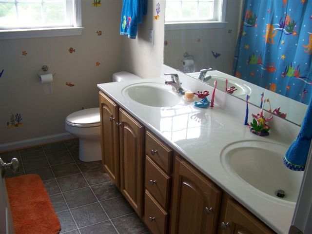 1650 White Church Road Fincastle, VA 24090 - Photo 16 of 20 bathroom