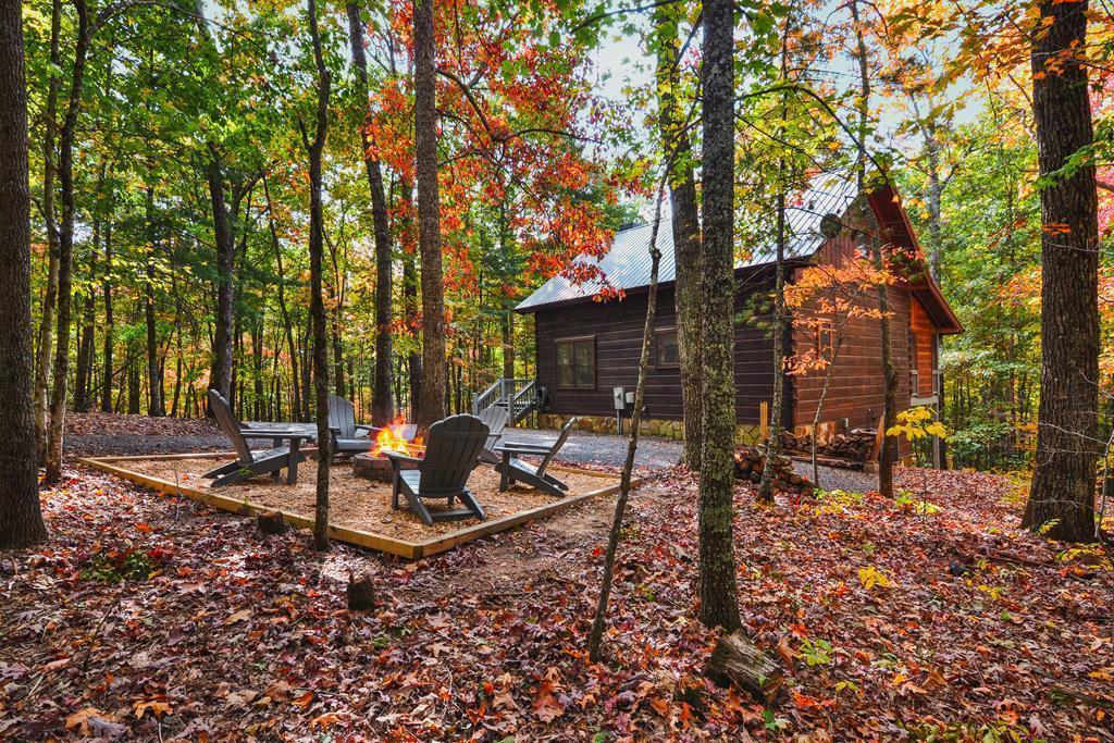63 Bushy Head Road Cherry Log, GA 30522 - Photo 2 of 47 Gallery Image 2