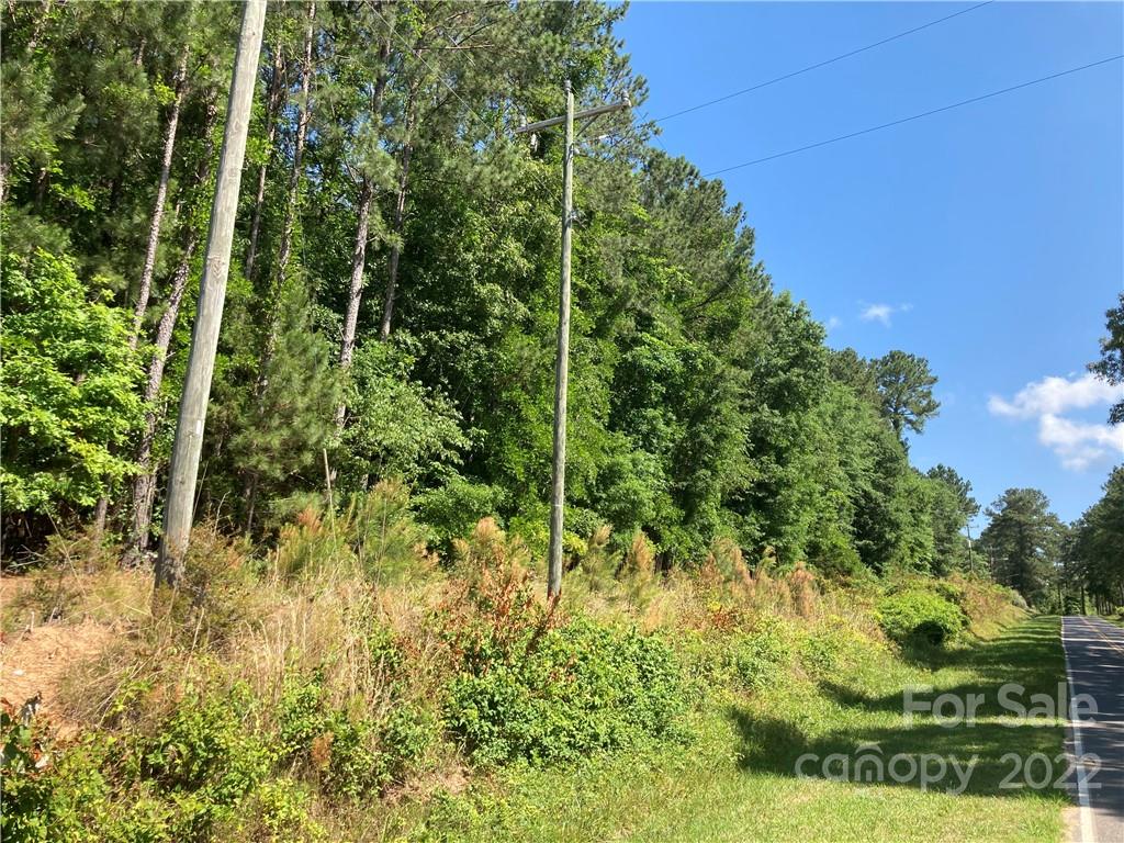 24.5 Ac Us 321 Highway Chester, SC 29706 - Photo 7 of 18 a view of yard