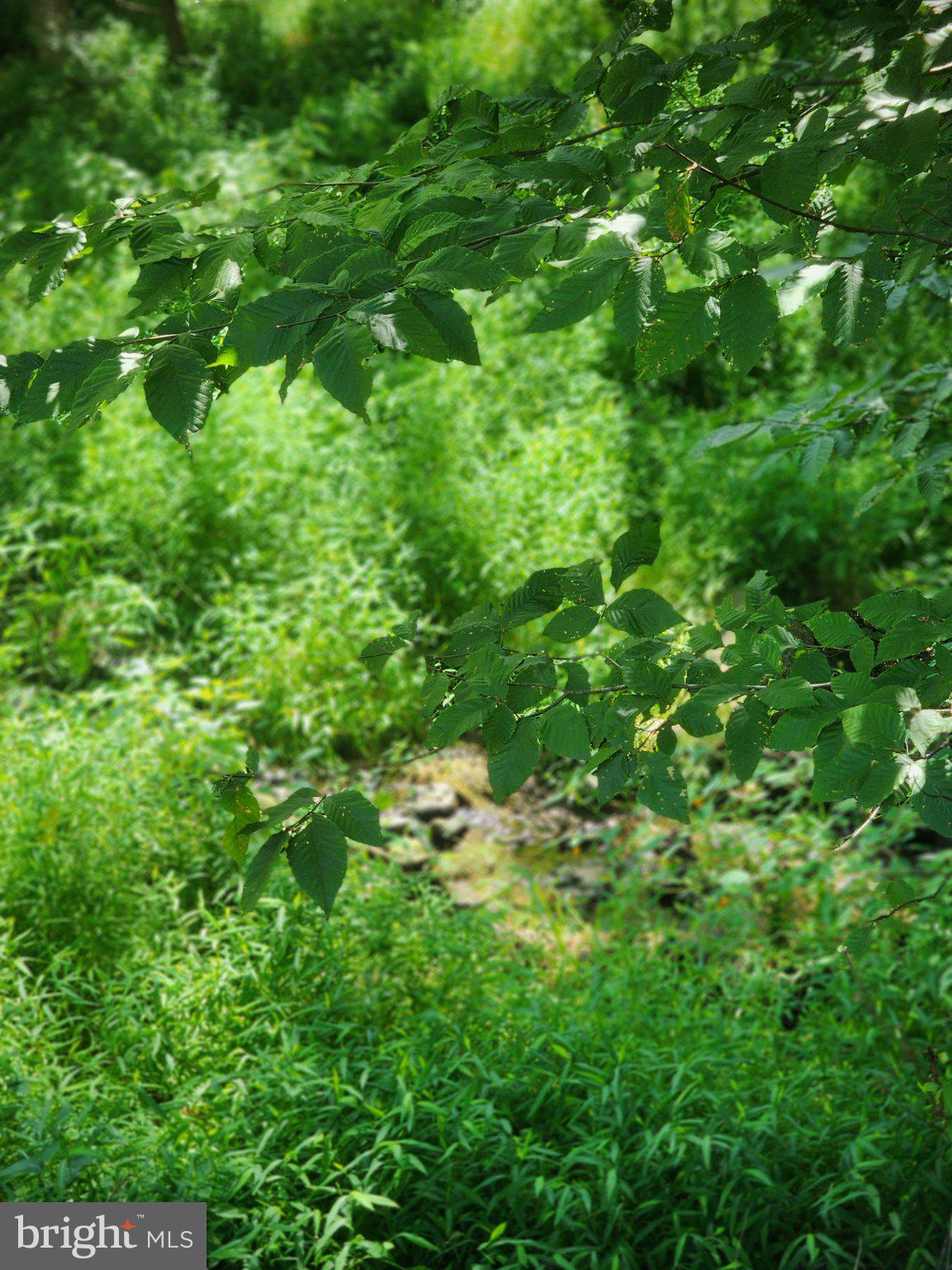 Zittlestown Road Middletown, MD 21769 - Photo 3 of 3 mountain stream in front