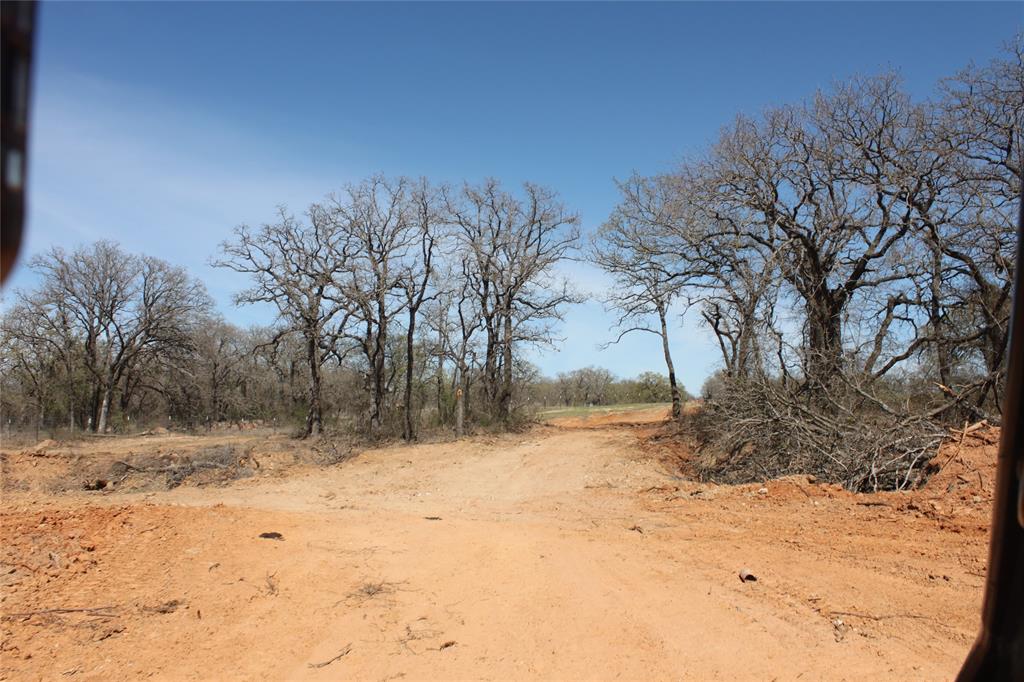 Undisclosed Address Springtown, TX 76082 - Photo 25 of 30 View of nature and cleared area to drive a tractor
