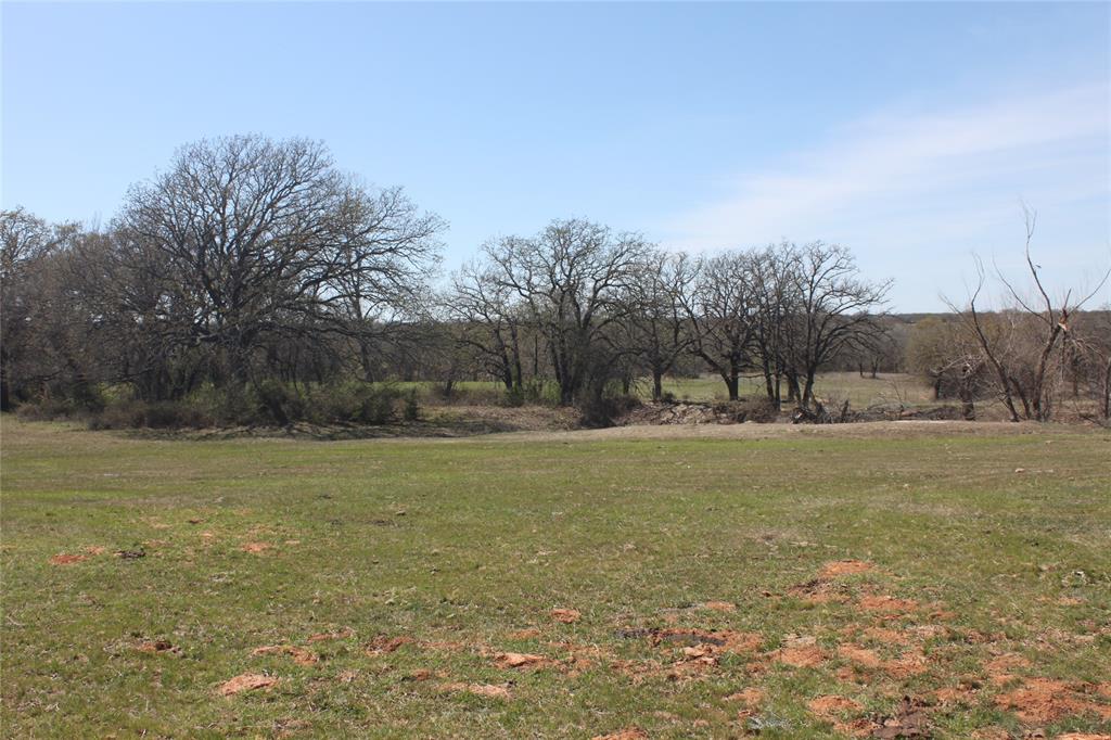 Undisclosed Address Springtown, TX 76082 - Photo 28 of 30 View of yard with a rural view