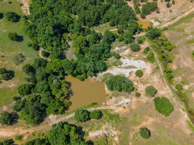 a plant that is in a garden