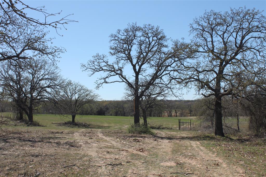 Undisclosed Address Springtown, TX 76082 - Photo 5 of 30 Cleared pathways and trees