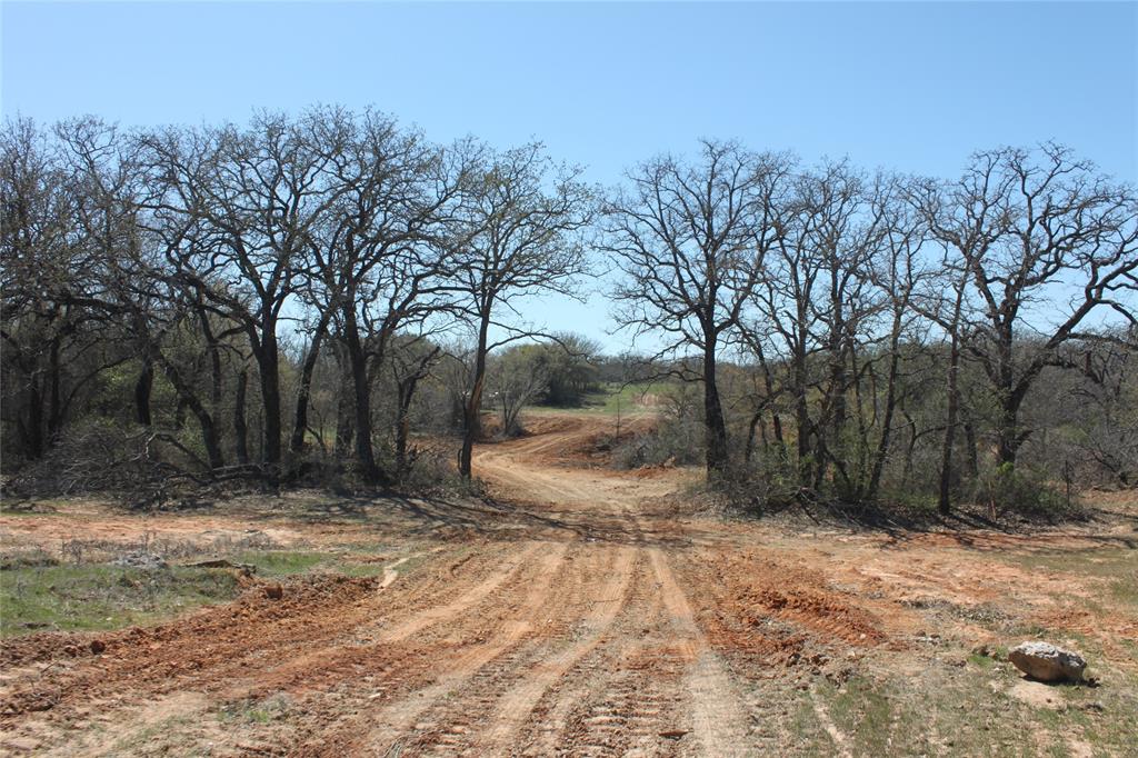 Undisclosed Address Springtown, TX 76082 - Photo 8 of 30 cleared a path to make it easier to access all 32 acres of land.