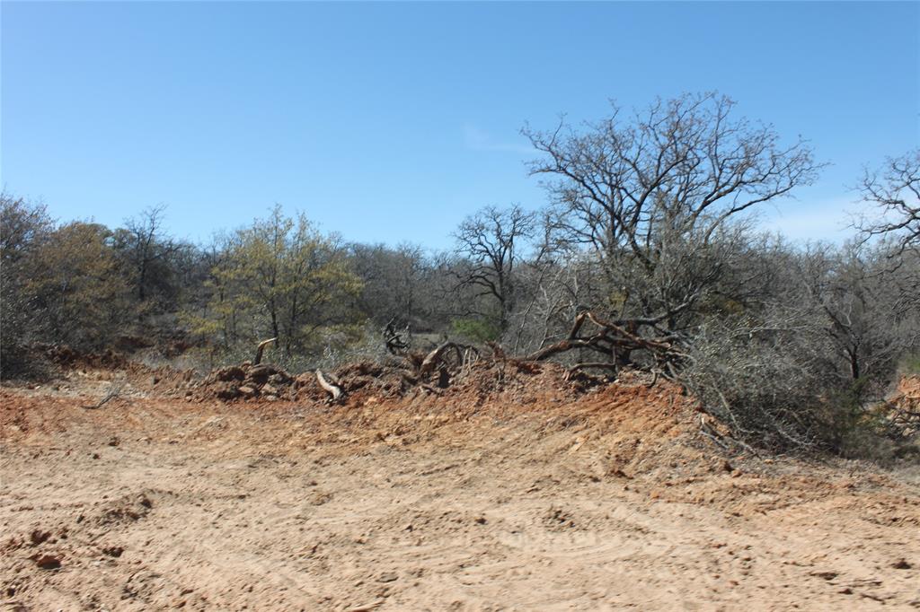 Undisclosed Address Springtown, TX 76082 - Photo 9 of 30 View of nature