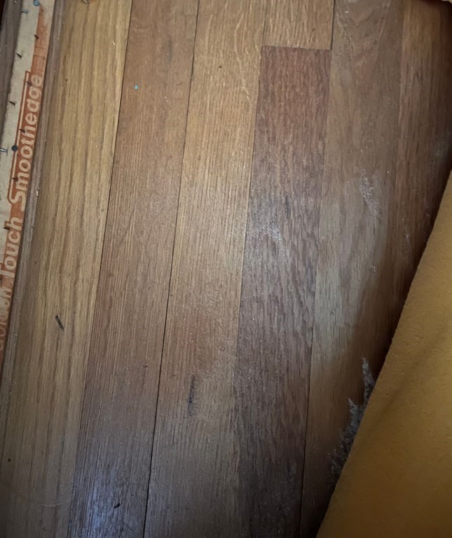 8 Scout Road East Walpole, MA 02032 - Photo 11 of 20 Gallery Image 11