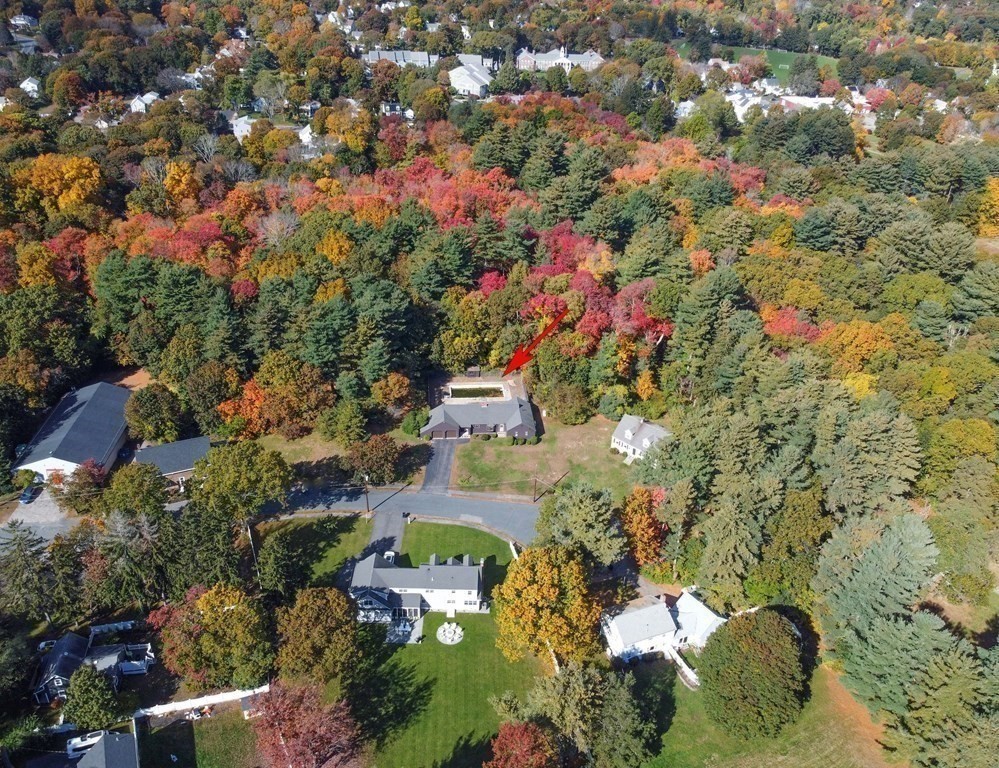 8 Scout Road East Walpole, MA 02032 - Photo 18 of 20 Gallery Image 18